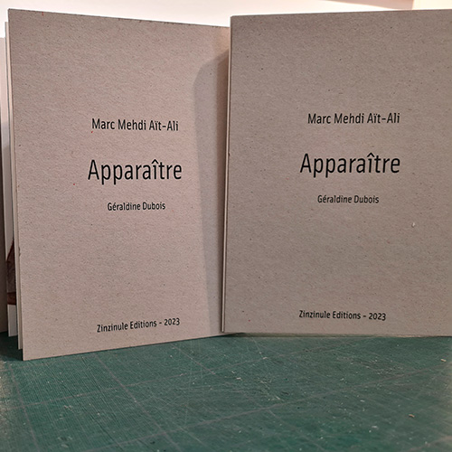 livre d'artiste apparaitre