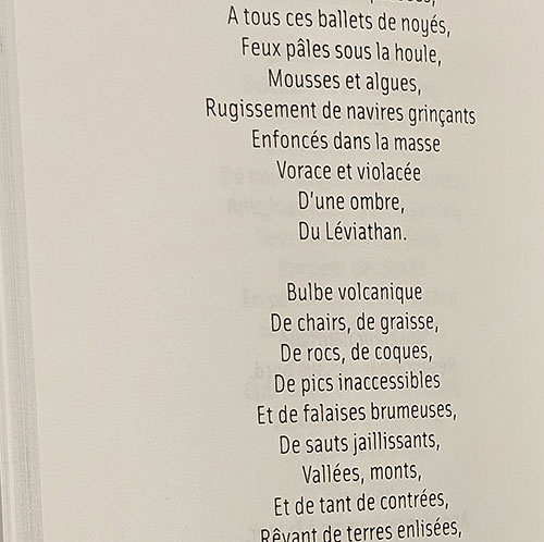 Coquille de neige