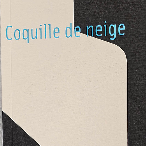 Coquille de neige