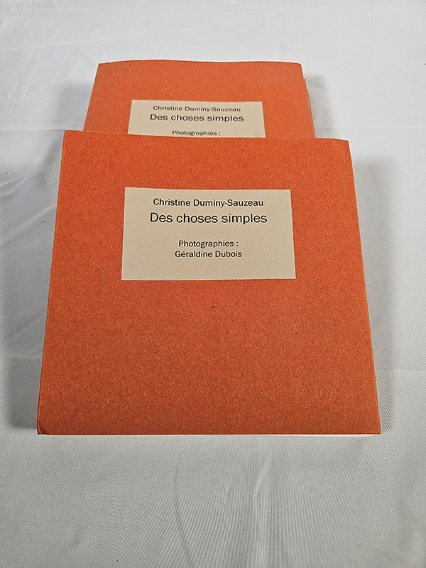 v vienne poésie