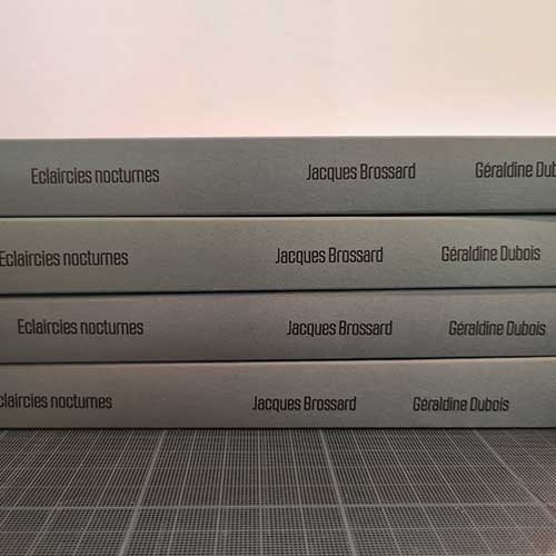 livre d'artiste eclaircies nocturnes