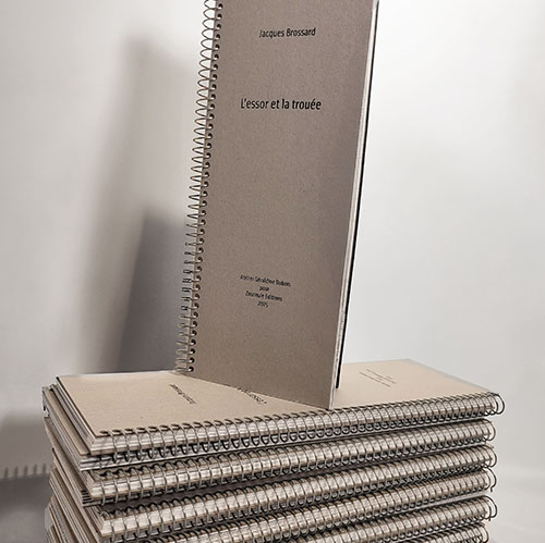 livre d'artiste L'essor et la troue