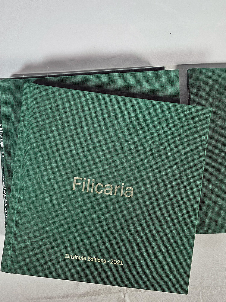 filicaria poésie