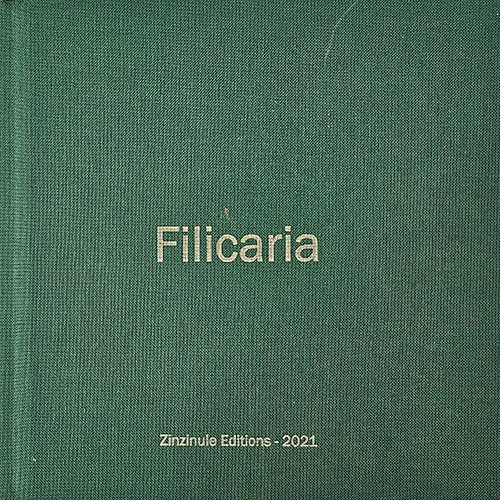 filicaria
