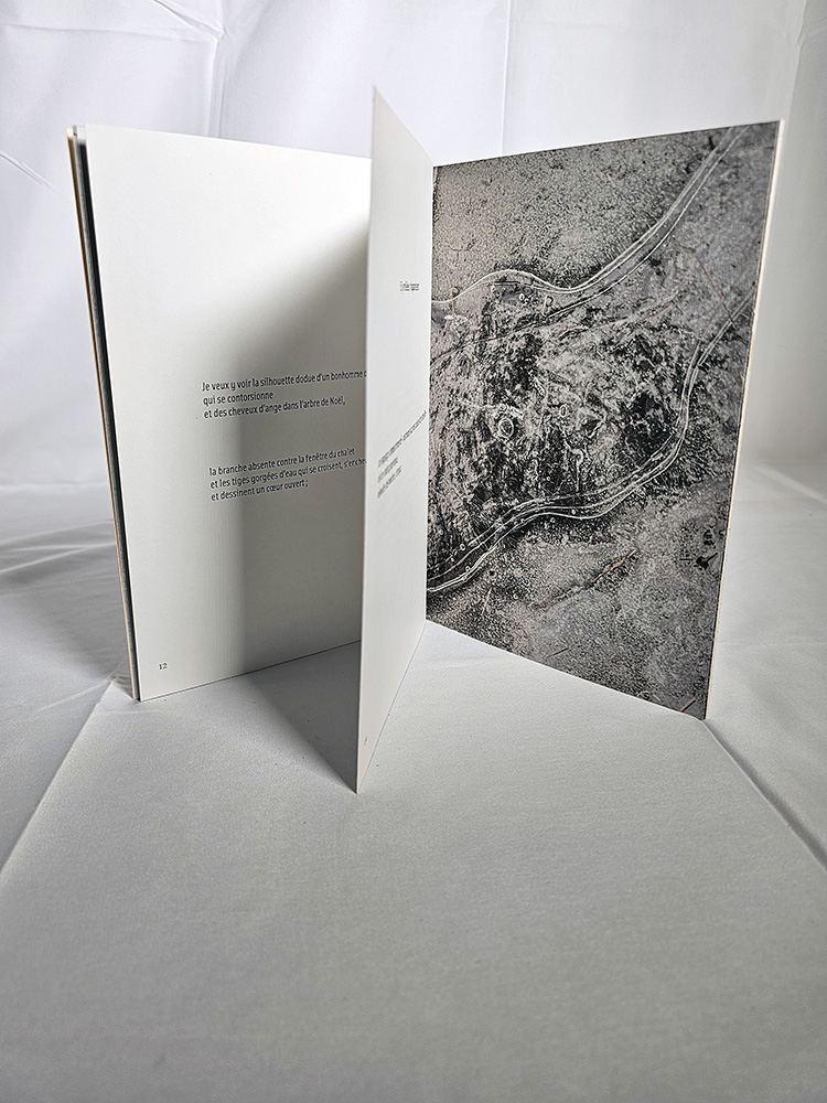 photographie livre de poésie Glace de Zinzinule Edition