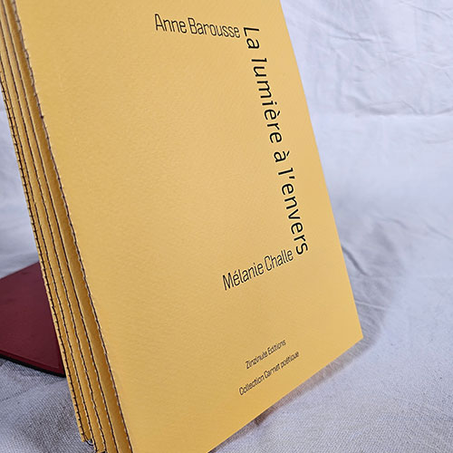 Anne Barousse - Mlanie Challe - La lumire  l'envers