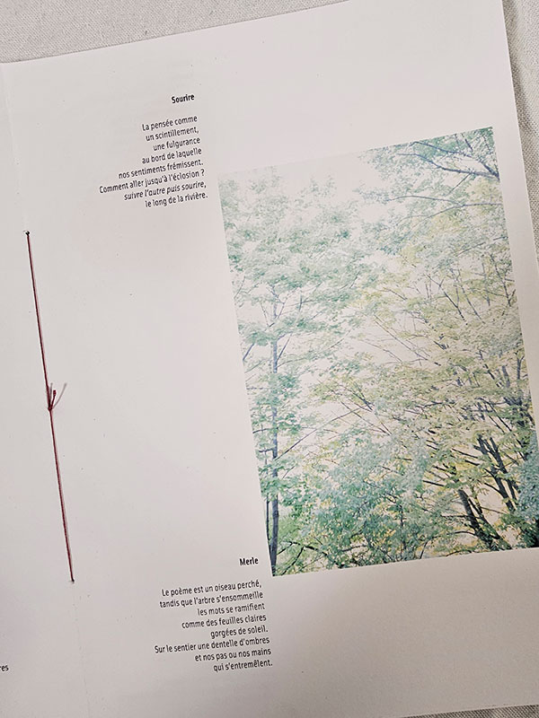 La lumière à l'envers - poésie et photographie