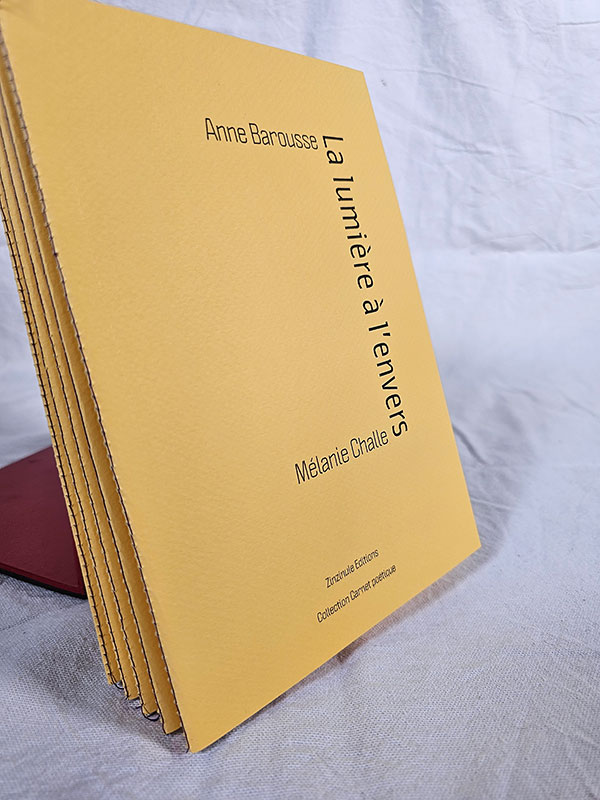 La lumière à l'envers - poésie et photographie