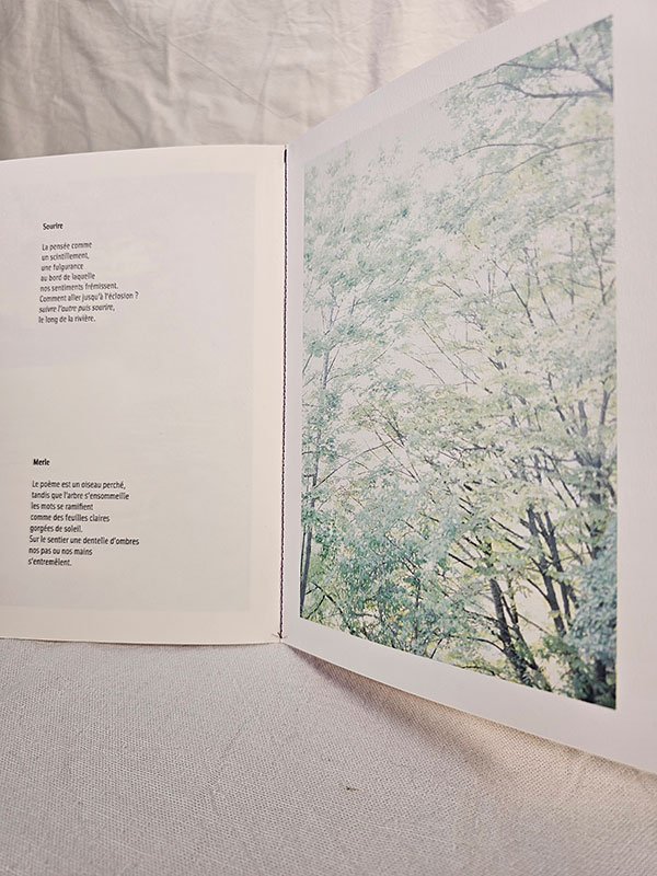 La lumière à l'envers - poésie et photographie