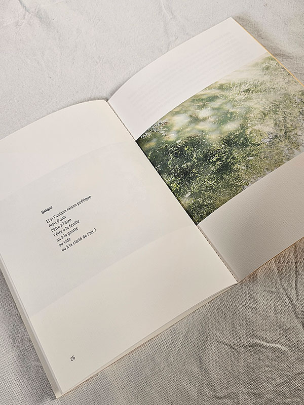 La lumière à l'envers - poésie et photographie