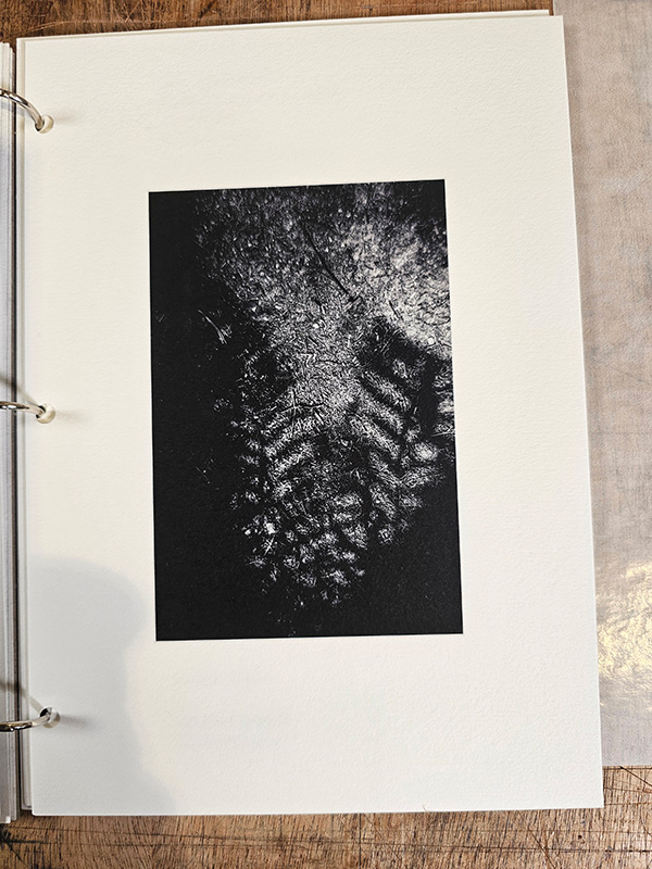 ombre portée poésie