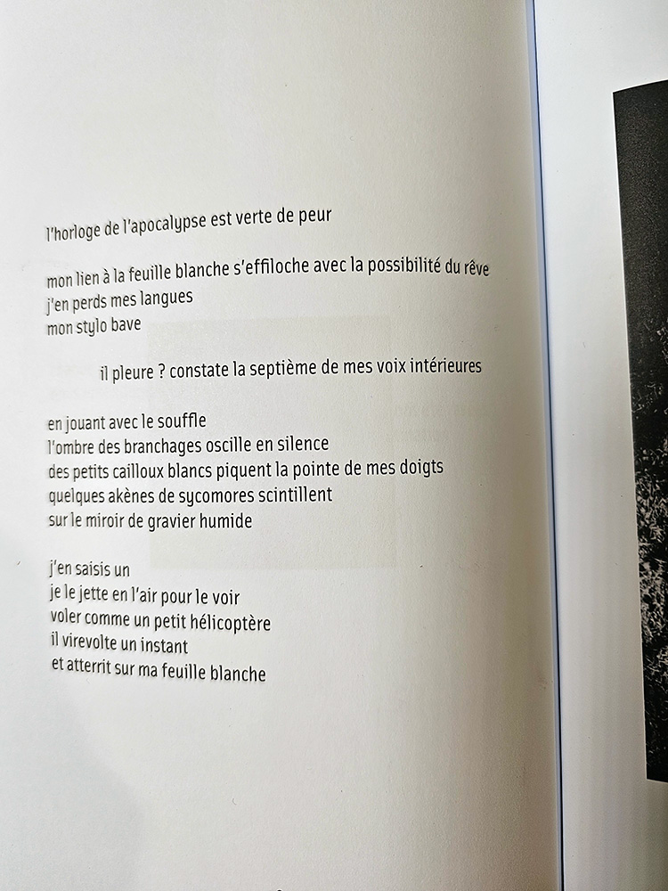Ombres portées poésie