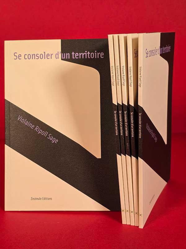 se consoler d'un territoire - poésie et photographie