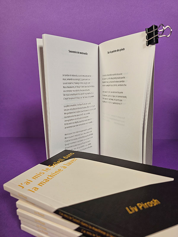 J'ai mis le Soleil sans la machine à laver - poésie et photographie