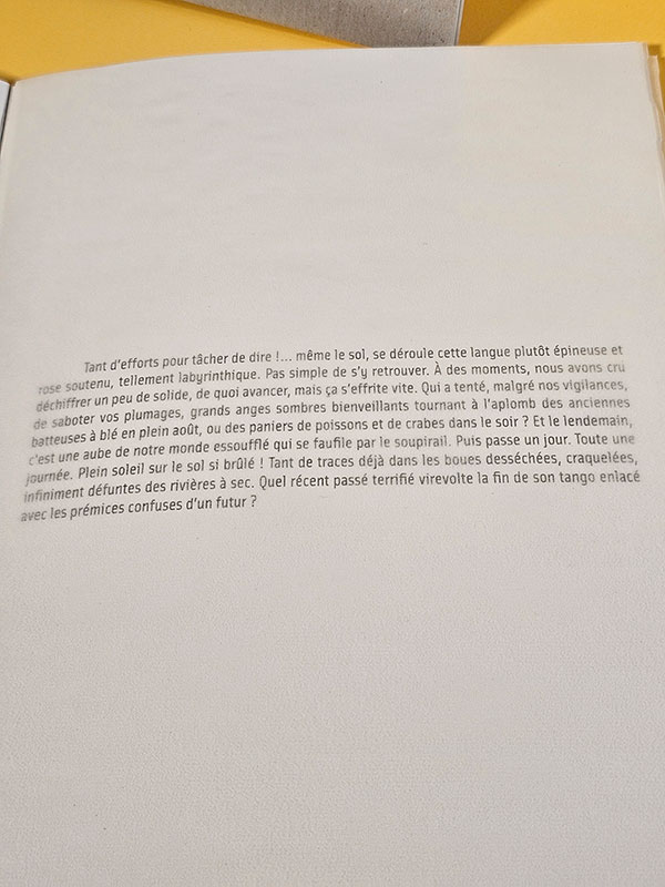 soleil en vrac  - poésie et photographie