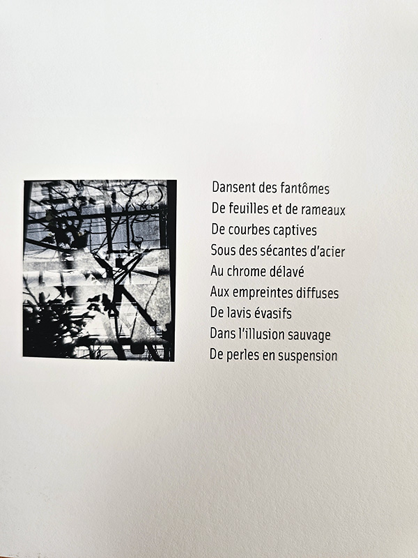 un jardin incertain poésie